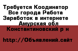 Требуется Коодинатор - Все города Работа » Заработок в интернете   . Амурская обл.,Константиновский р-н